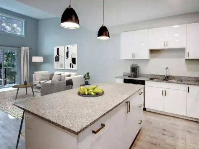 For Rent 1 Bedroom Apartment Victoria BC DS104637525