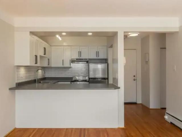 For Rent 1 Bedroom Apartment Victoria BC DS105248015