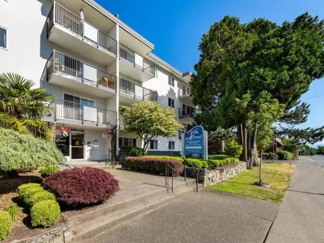 For Rent 1 Bedroom Apartment Victoria BC DS103410580