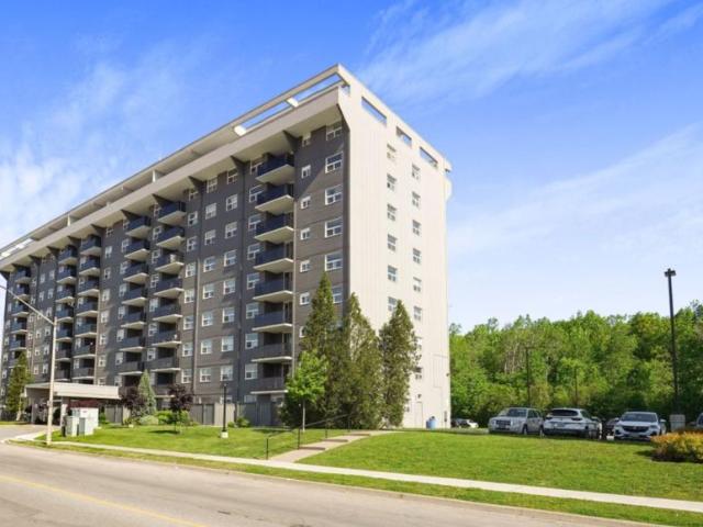 For Rent 1 Bedroom Apartment Welland ON DS103488811