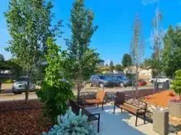 For Rent 1 Bedroom Apartment Wetaskiwin AB DS103011371