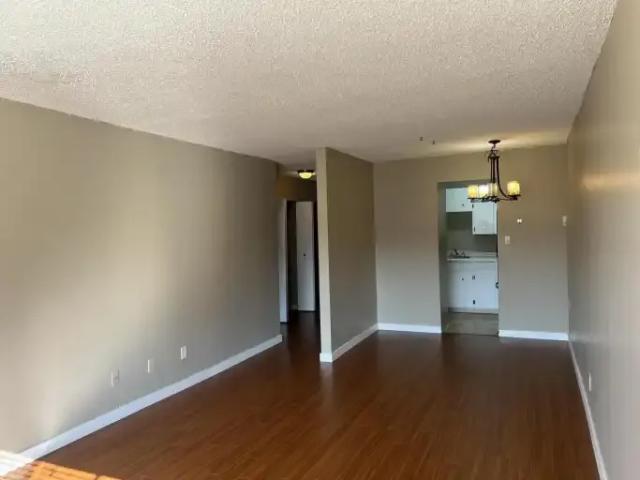 For Rent 1 Bedroom Apartment White Rock BC DS106031522