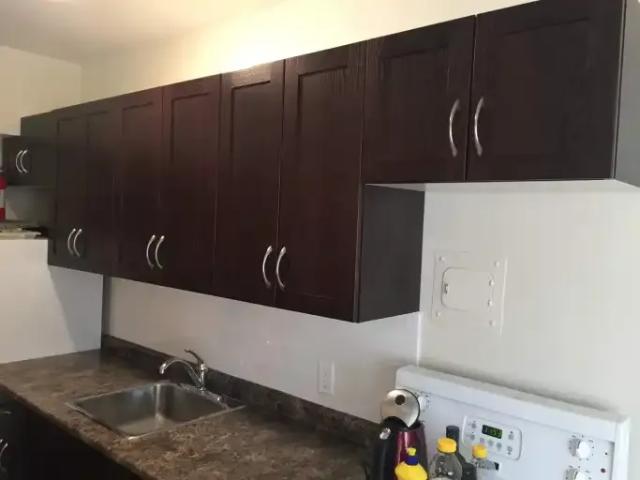 For Rent 1 Bedroom Apartment Winnipeg MB DLS103839308