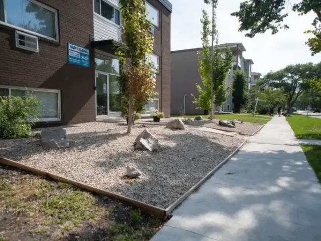 For Rent 1 Bedroom Apartment Winnipeg MB DS104400903