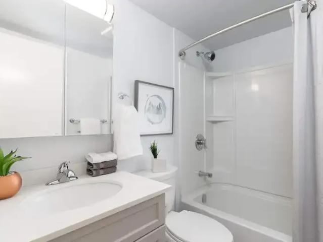 For Rent 1 Bedroom Apartment Winnipeg MB DS104710777