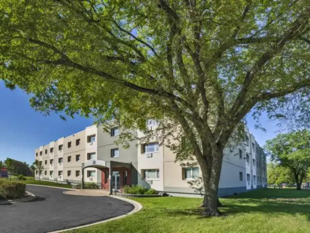 For Rent 1 Bedroom Apartment Winnipeg MB DS104985610