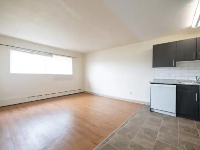 For Rent 1 Bedroom Apartment Winnipeg MB DS105280396