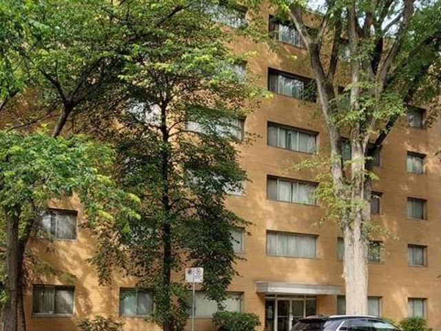 For Rent 1 Bedroom Apartment Winnipeg MB DS105504854