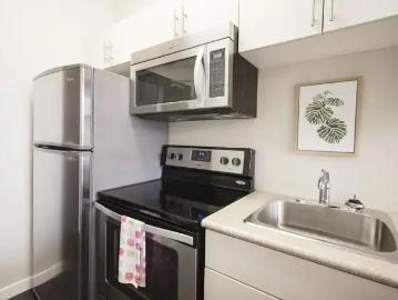 For Rent 1 Bedroom Apartment Winnipeg MB DS102914416