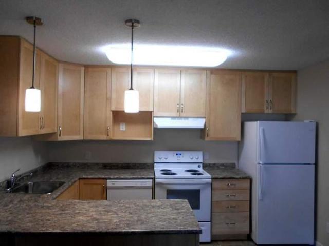 For Rent 1 Bedroom Apartment Winnipeg MB DS96587089