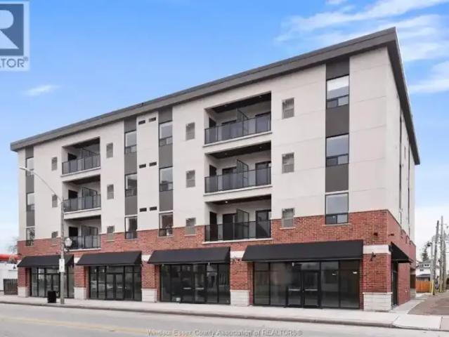 For Rent 1 Bedroom Apartment Windsor ON DS102658696