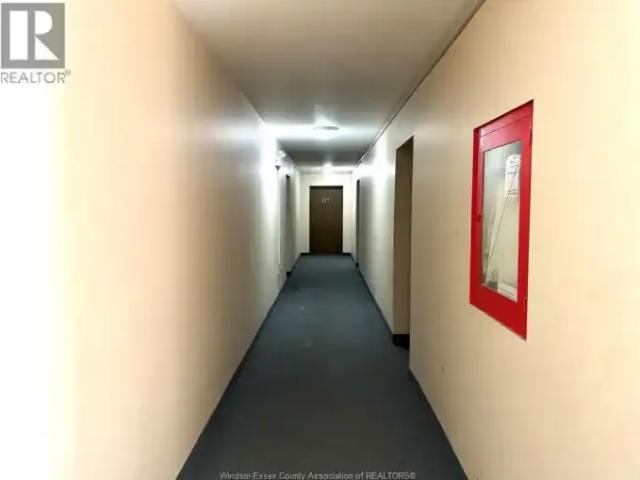For Rent 1 Bedroom Apartment Windsor ON DS103879760