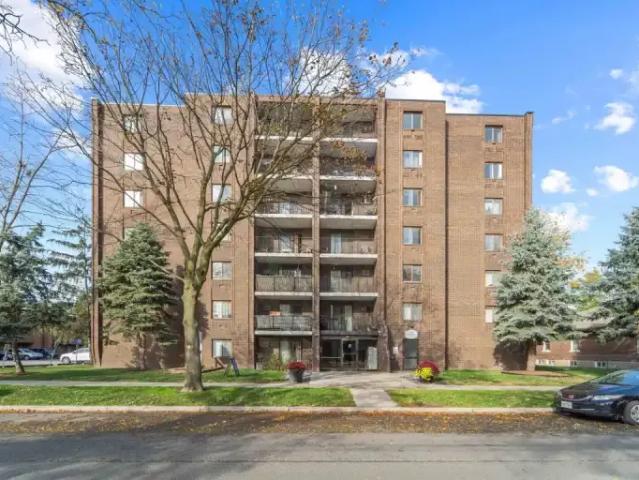 For Rent 1 Bedroom Apartment Windsor ON DS104863163