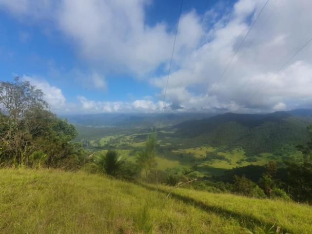 For Rent 1 Bedroom House LOWER CREEK NSW DS104953712