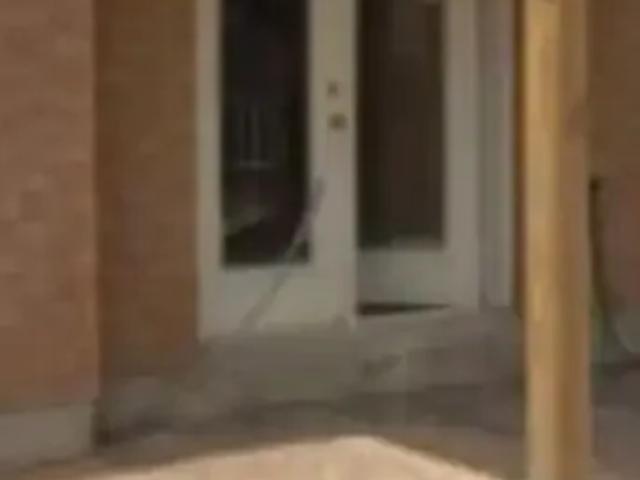 For Rent 1 Bedroom House Vaughan ON DS103322793