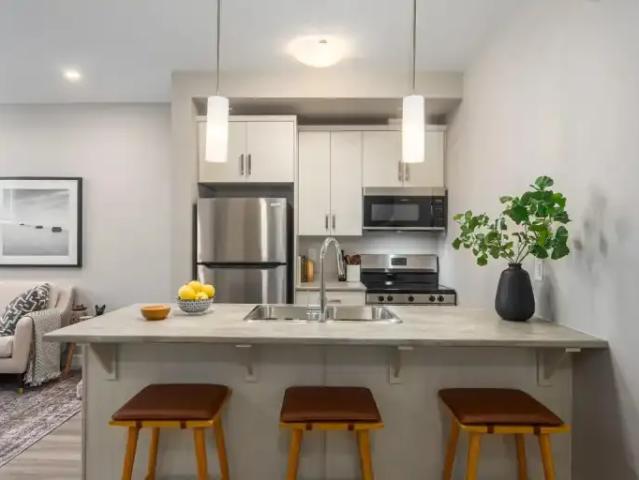 For Rent 1 Bedroom Townhouse Ile Des Chenes MB DS104863647