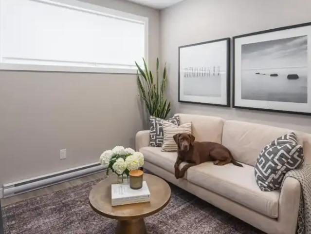 For Rent 1 Bedroom Townhouse Ile Des Chenes MB DS105466957