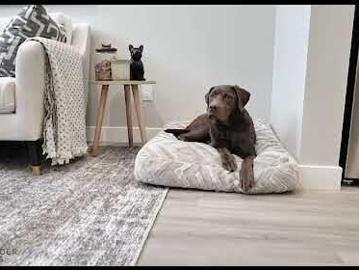 Ritchot, Fairford, Division No 19