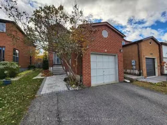 New 1 BR Bsmt 79 Rejane Crescent, Vaughan, ON, L4J 5A5 house.