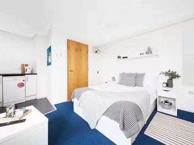 Cozy 1 BR Shrubhill House Studio, Classic