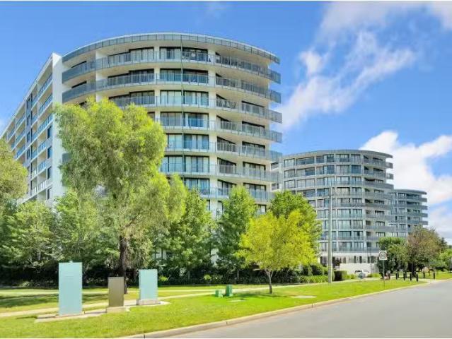 Charming 1 BR 103/1 Mouat Street, Lyneham Apartment for rent.