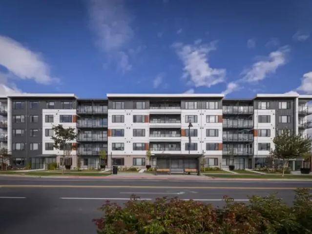For Rent 1.5 Bedroom Apartment Colwood BC DS105543050