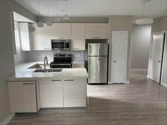 For Rent 1.5 Bedroom Apartment Edmonton AB DS104753068
