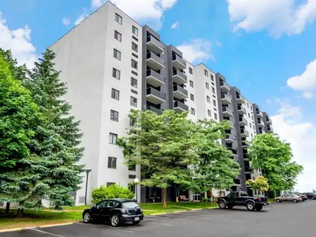 For Rent 1.5 Bedroom Apartment Kitchener ON DS105466441