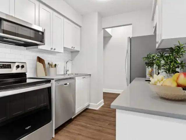 For Rent 1.5 Bedroom Apartment Kingston ON DS104752521