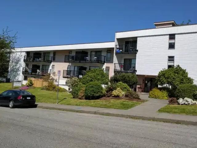 For Rent 1.5 Bedroom Apartment New Westminster BC DS103410568