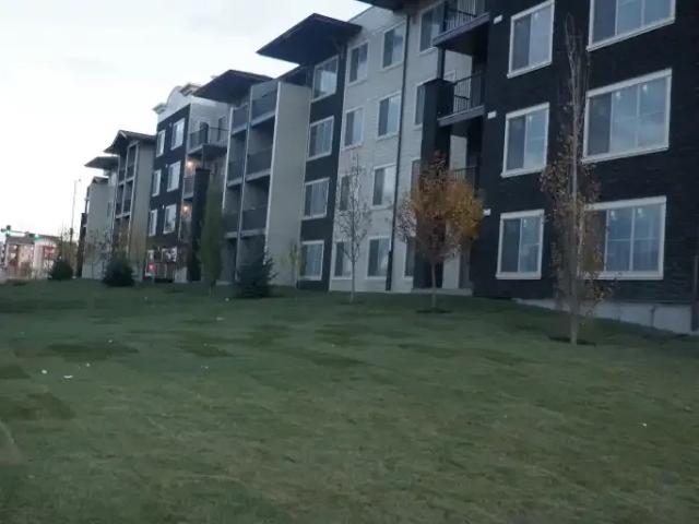 For Rent 2 Bedroom Condo Cochrane AB DLS105554426