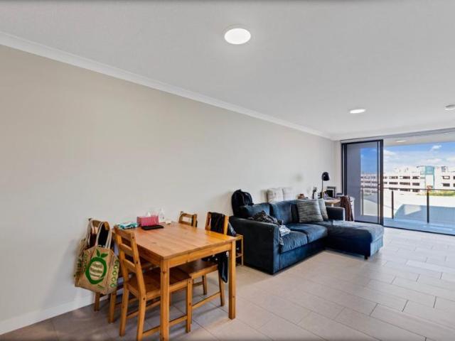 For Rent 2 Bedroom Apartment Maroochydore, QLD DS105339141