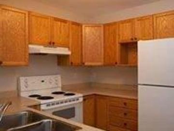 Apartment to rent in Westmorland - Patio