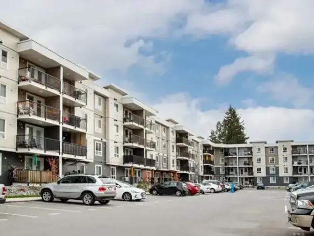 For Rent 2 Bedroom Apartment North Cowichan BC DLS105149739