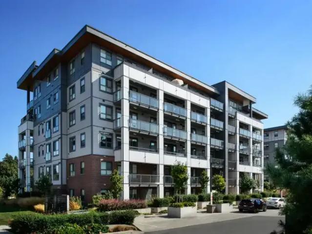 For Rent 2 Bedroom Apartment Abbotsford BC DS105623472