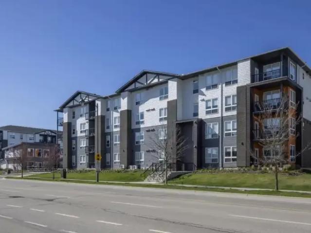 For Rent 2 Bedroom Apartment Brantford ON DLS100211656