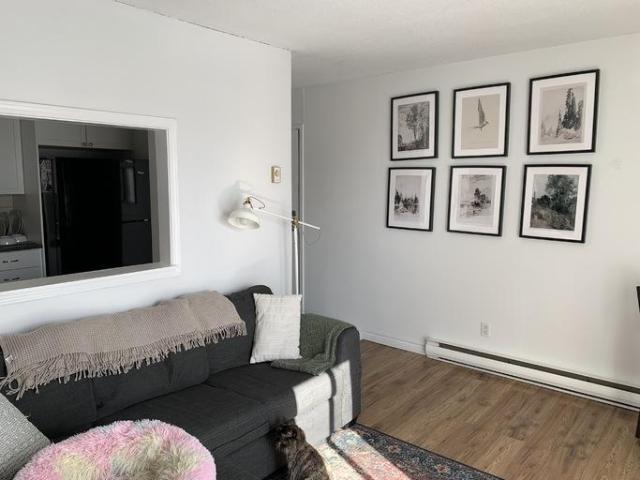 For Rent 2 Bedroom Apartment Clarence ON DS103594085
