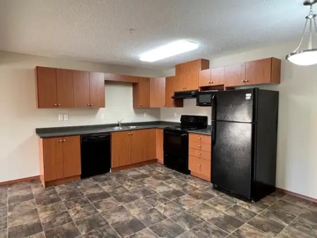 For Rent 2 Bedroom Apartment Edmonton AB DLS105046825