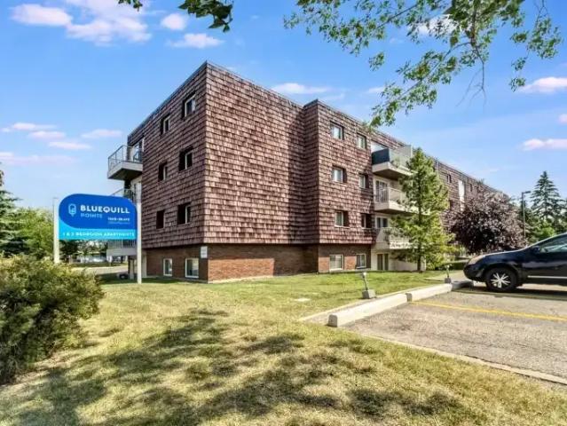 For Rent 2 Bedroom Apartment Edmonton AB DLS105087079