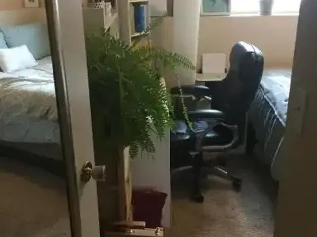 For Rent 2 Bedroom Apartment Edmonton AB DLS105623724