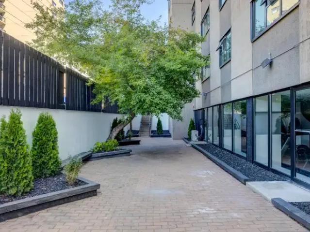 For Rent 2 Bedroom Apartment Edmonton AB DS104875520