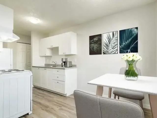 For Rent 2 Bedroom Apartment Edmonton AB DS104984475