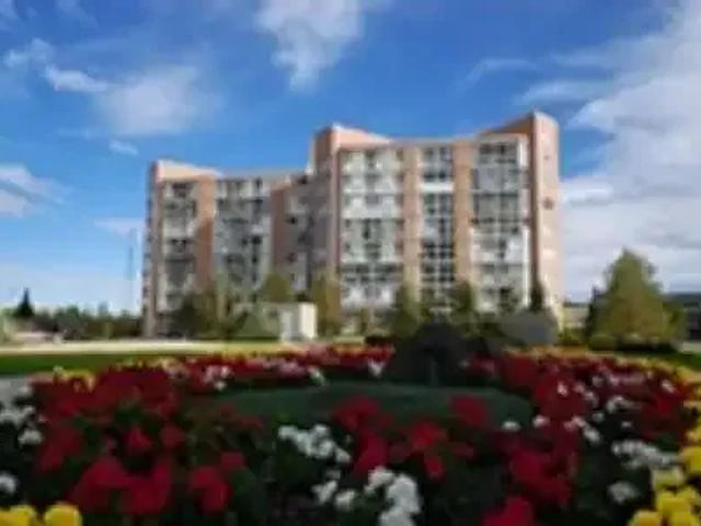 For Rent 2 Bedroom Apartment Edmonton AB DS105542948