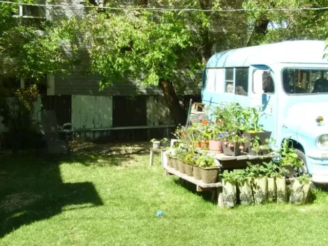 For Rent 2 Bedroom Apartment Edmonton AB DS105793006