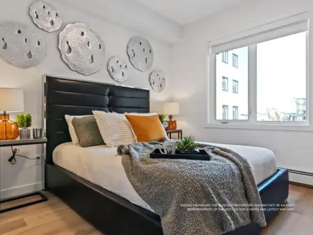 For Rent 2 Bedroom Apartment Edmonton AB DS102752512