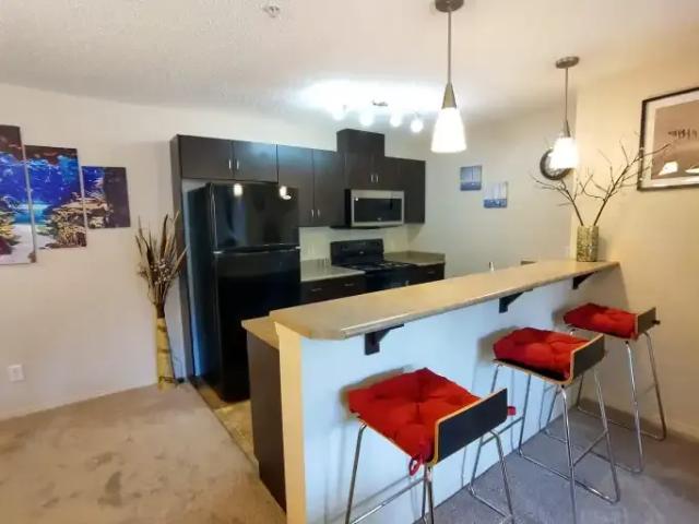 For Rent 2 Bedroom Apartment Edmonton AB DS103569104