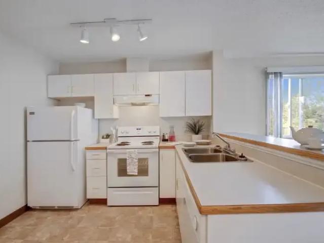 For Rent 2 Bedroom Apartment Edmonton AB DS103999647