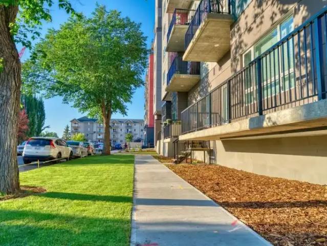 For Rent 2 Bedroom Apartment Edmonton AB DS96589982