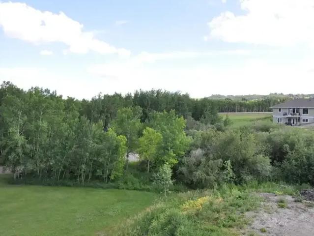For Rent 2 Bedroom Apartment Foothills AB DS104991551