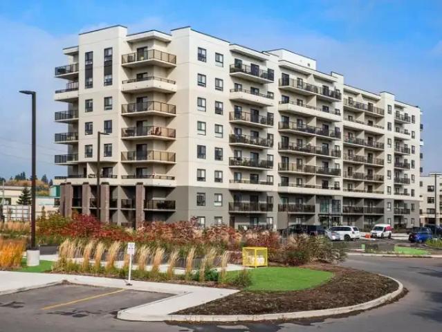 For Rent 2 Bedroom Apartment Guelph ON DS104179392
